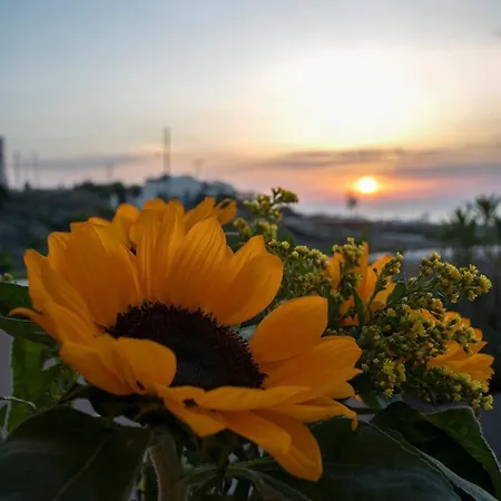 Superior Santorini 2 Bedroom Private Jetted Pool & Amazing Sea *